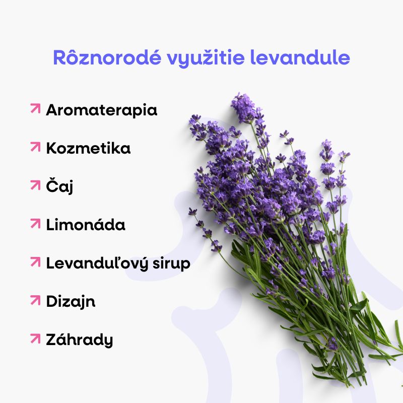 (Slovenčina) (71)